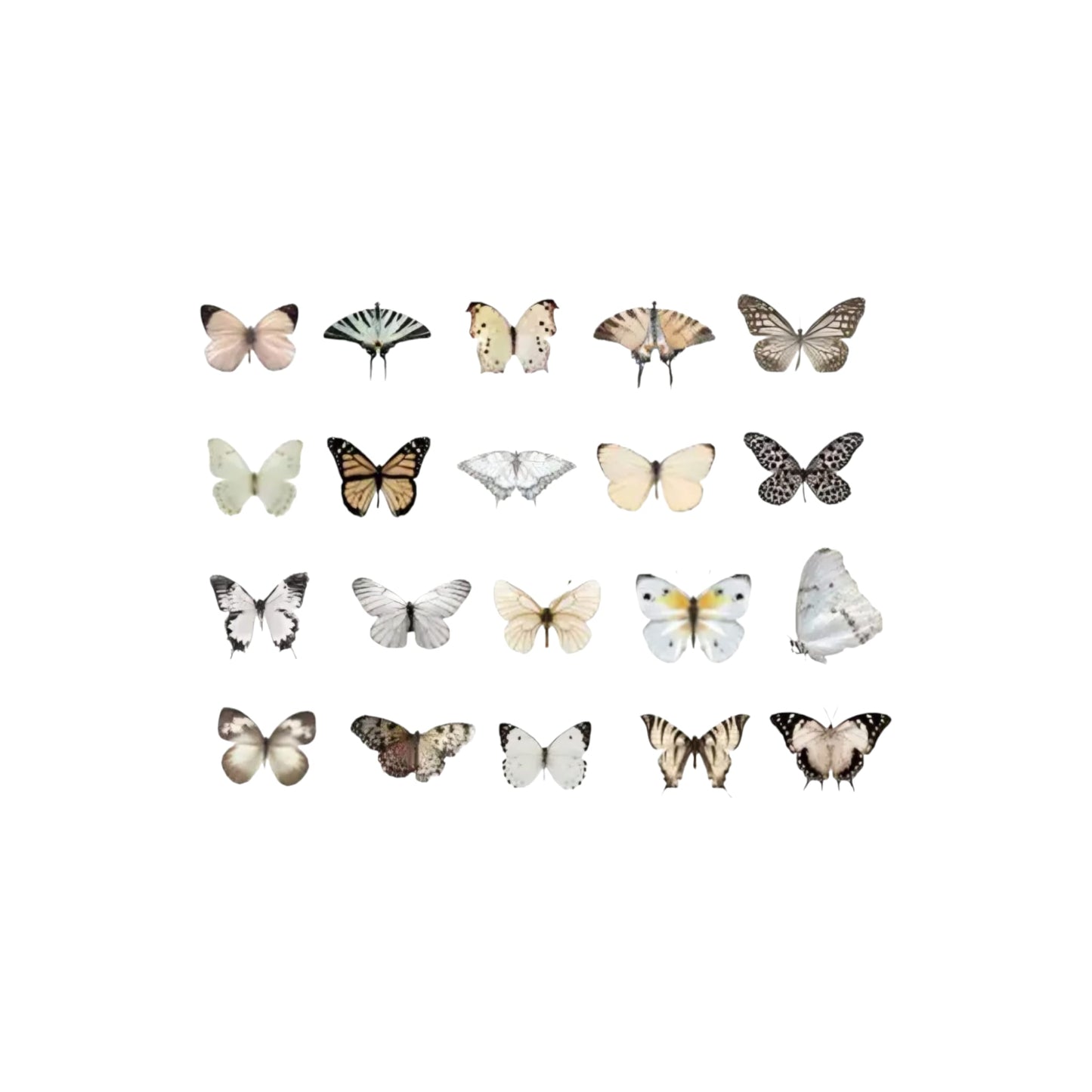 Sticker mini farfalle