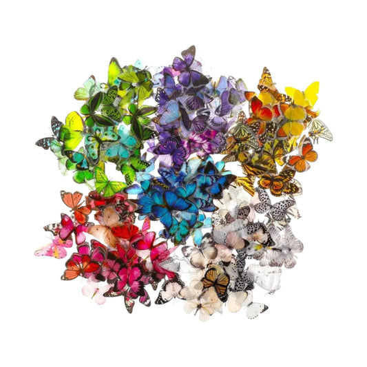 Sticker mini farfalle