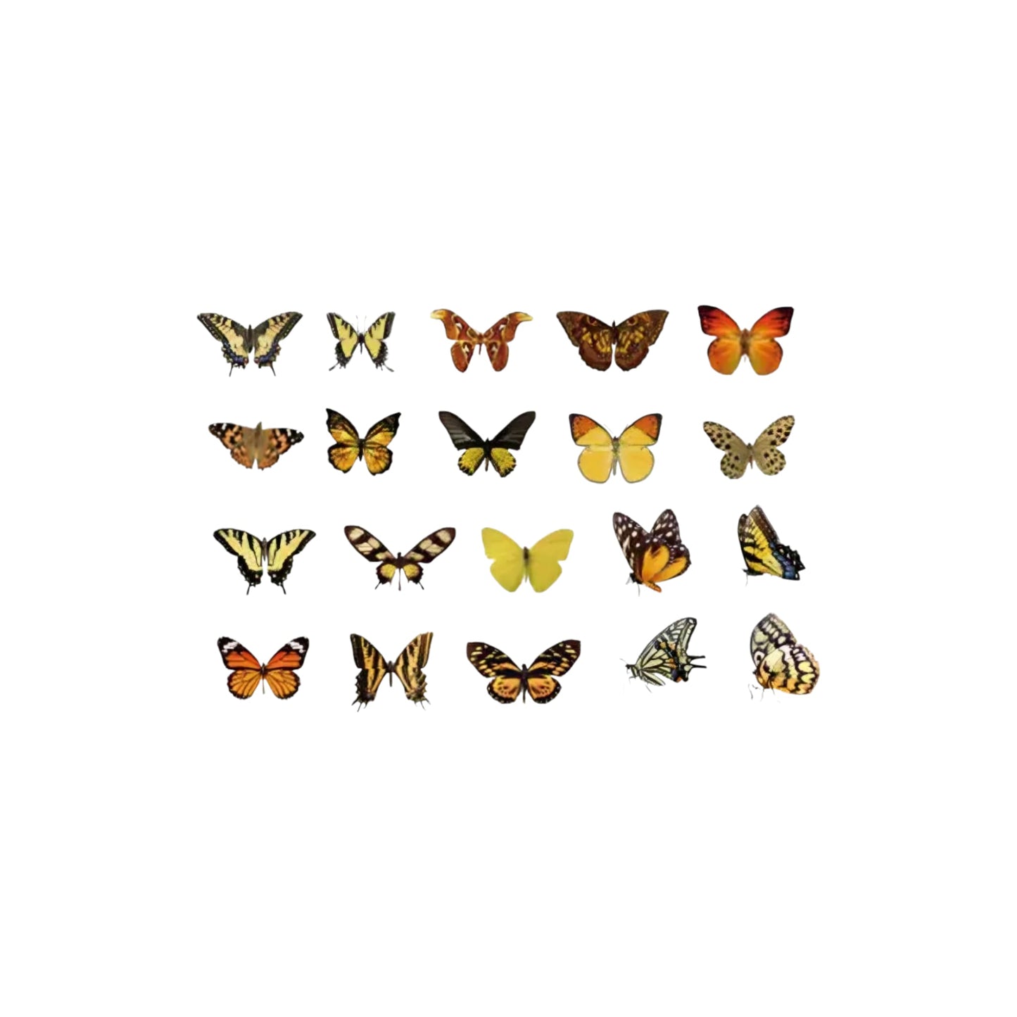 Sticker mini farfalle
